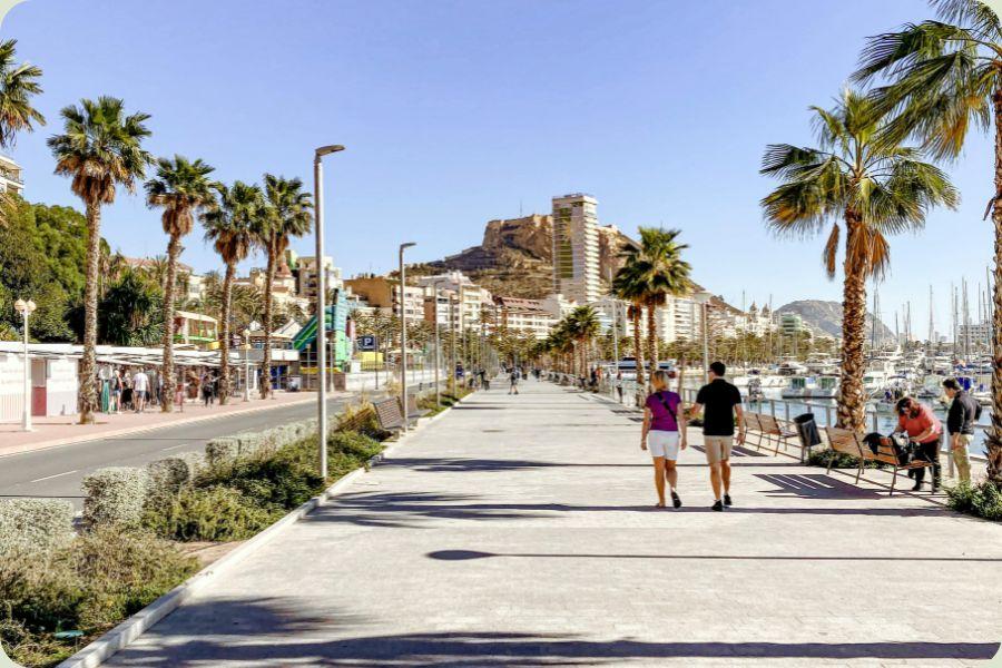 Een breed pad aan een zonovergoten promenade in Alicante met palmbomen aan weerszijden, wandelaars en bankjes. Op de achtergrond is een stadskasteel te zien op een heuvel. De promenade grenst aan een jachthaven vol boten.