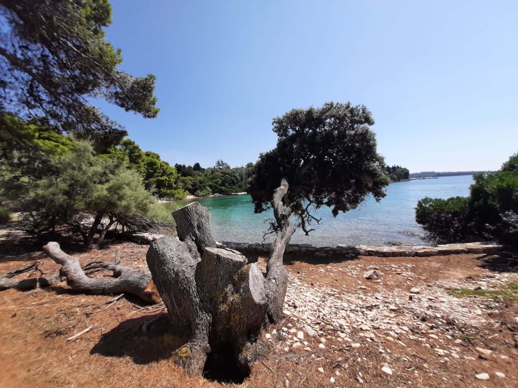 Brijuni Eiland