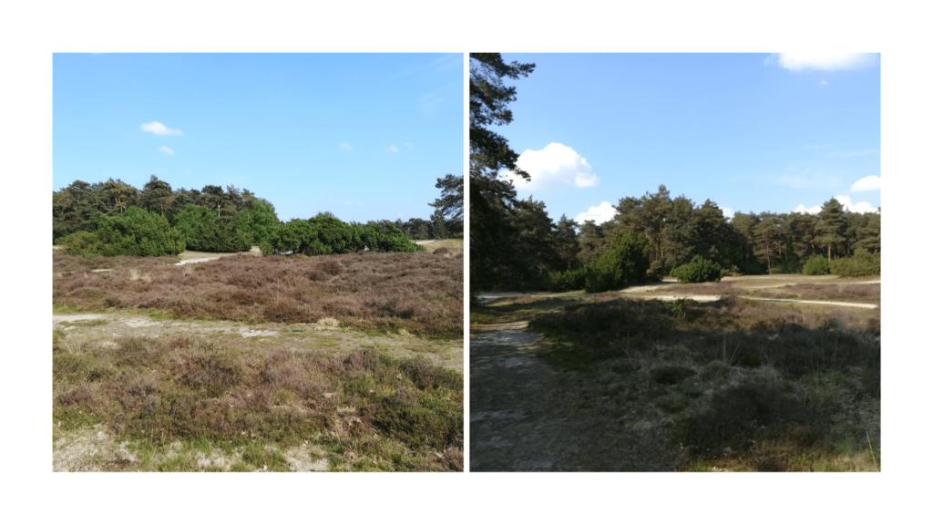 Kindvriendelijke campings in Nederland: top 10