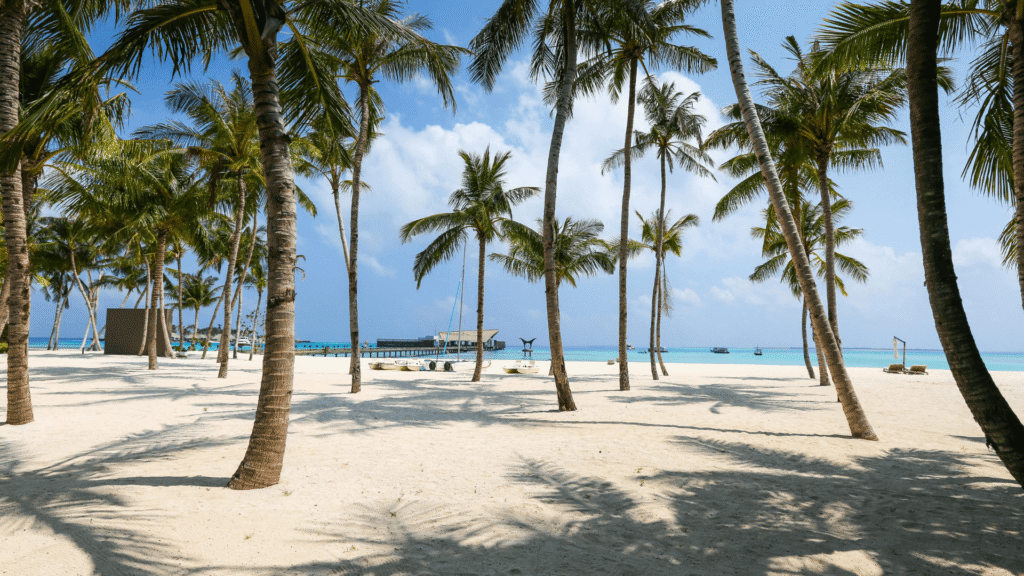 Tropisch strand met palmbomen en helderblauw water – exotische bestemmingen