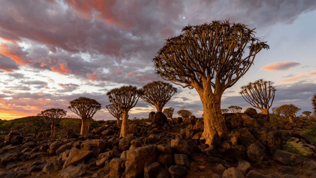 Safari in Oeganda met uitzicht over savanne en wilde dieren – exotische bestemming

