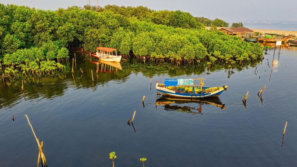 Kleine boot vaart door het mangrovebos in de Filipijnen