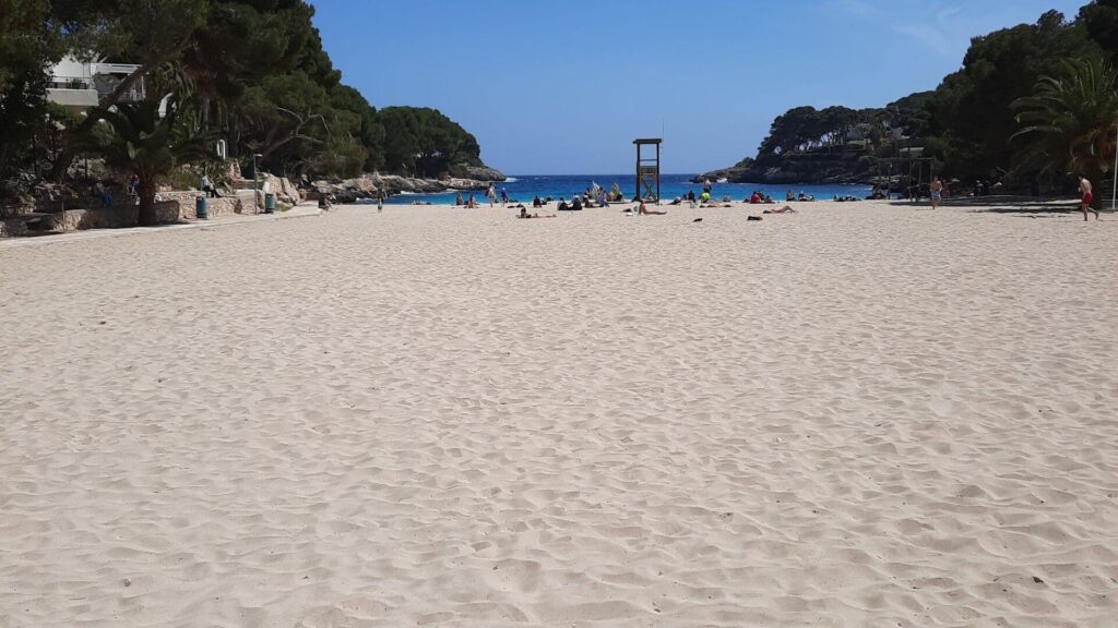 Zonnig strand met helderblauw water en palmbomen, perfect voor een last-minute zomervakantie  