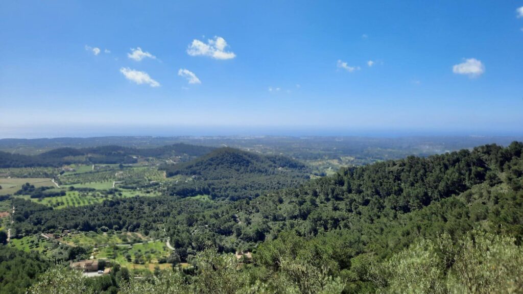 Uitzicht op de bergen van Mallorca met groene heuvels en kronkelende wegen in de Serra de Tramuntana- last-minute zomervakantie  