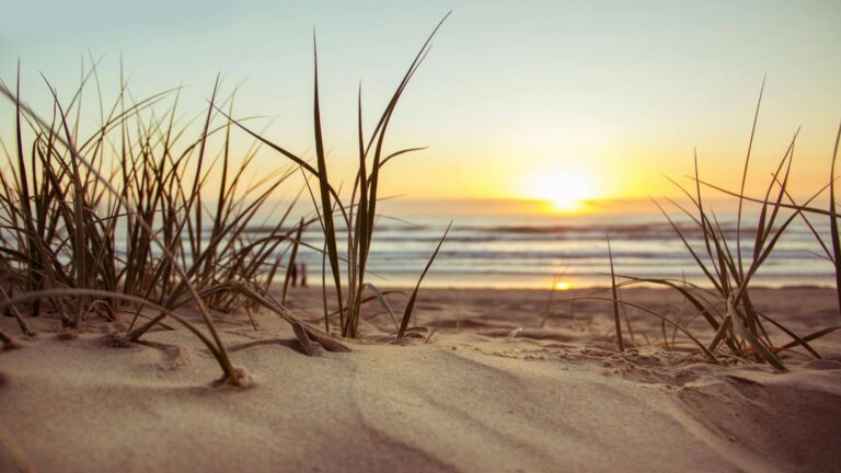 last-minute zomervakantie aan het strand tijdens zonsondergang