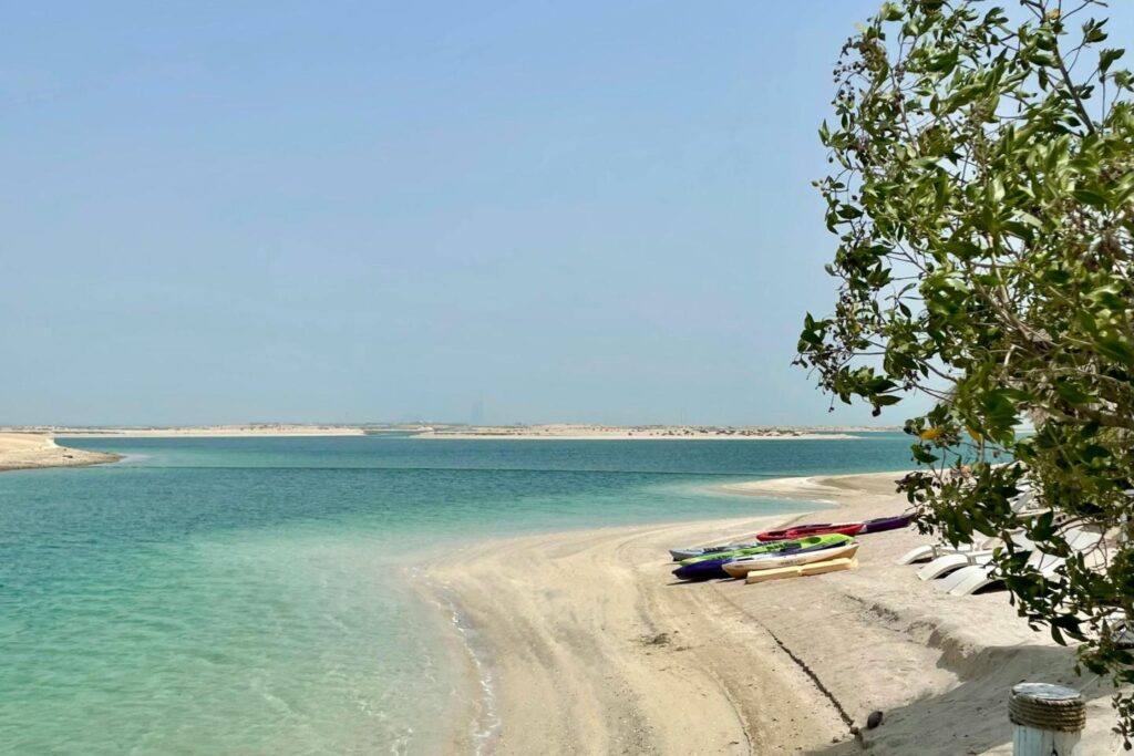 Zonnig strand in Dubai met palmbomen en helderblauwe zee in februari.