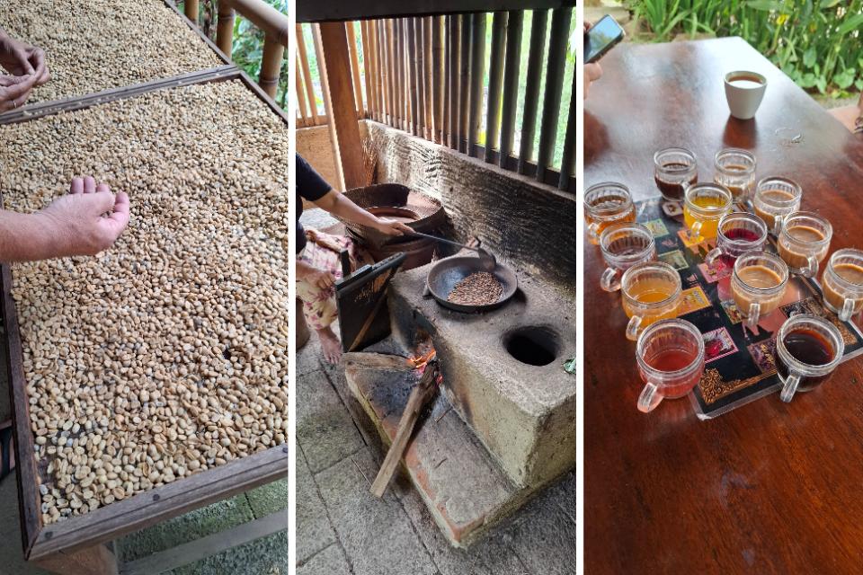 Koffieplantage bij Ubud met luwak koffie